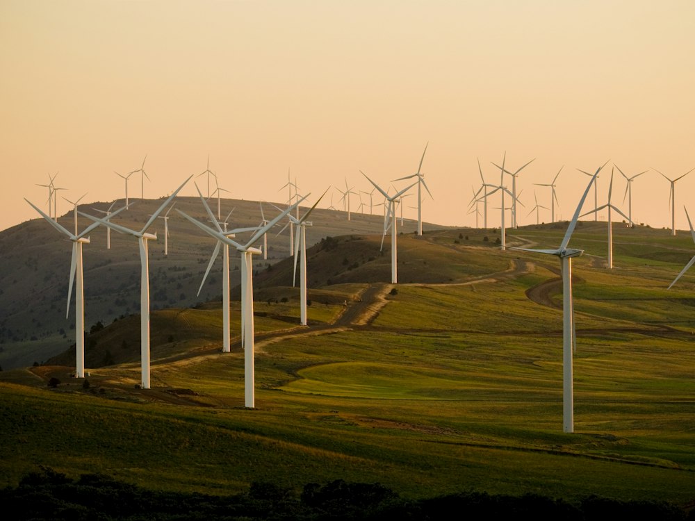 Wind farm